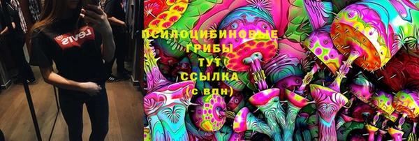 хмурый Абинск