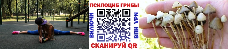 мега   Яблоновский  Галлюциногенные грибы ЛСД 